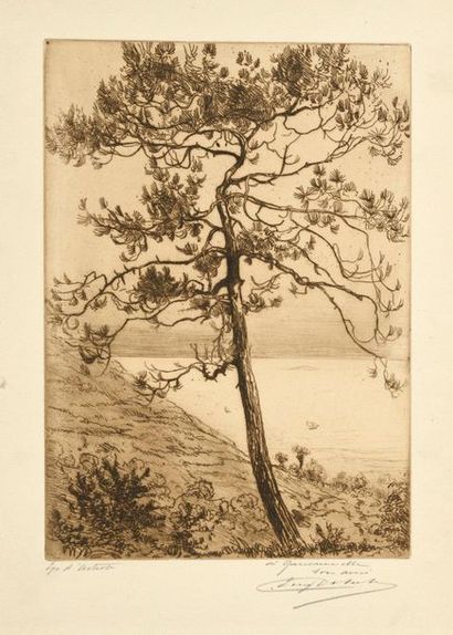 Eugène DELATRE Étude de pin à Kérity, vers 1912, eau forte, 24 x 17 cm, marges 39...