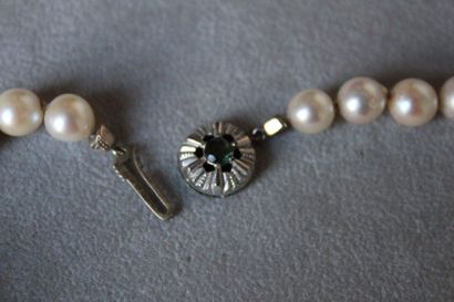 Necklace of eighty choker cultured pearls,...