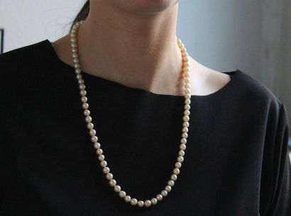 null Necklace of eighty choker cultured pearls, metal clasp.
Diameter of the pearls:...