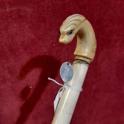 ROI JÉRÔME Cane with an ivory handle carved with a dolphin's head.
(Accidents and...