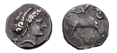 ITALIE CAMPANIE Naples (380-280 av. J.-C.). Statère. 7,47 g. Tête de nymphe à droite,...