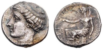 ITALIE Terina (445-425 av. J.-C.). Statère. 7,46 g. Tête de nymphe à gauche; les...