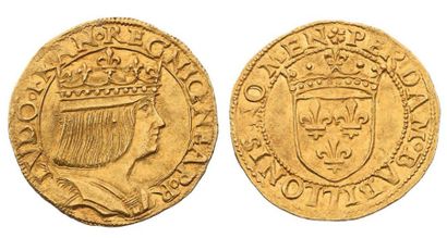 null Royaume de Naples (1501-1504). Ducat d'or. 3,49 g. Buste du Roi à droite, coiffé...