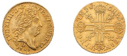 null Louis d'or au soleil. 1709. Lyon. 8,14 g. Tête laurée du Roi à droite, avec...