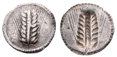 ITALIE LUCANIE Métaponte. Statère (550-540 av. J.-C.). 8,03 g. Épis de blé. Bande...
