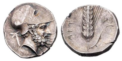ITALIE Statère (vers 340 av. J.-C.). 7,83 g. Tête barbue de Leucippe à droite, coiffée...
