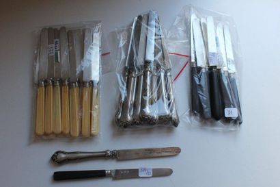 null Set of knives including: fifteen fruit knives, silver blade 950 thousandths...