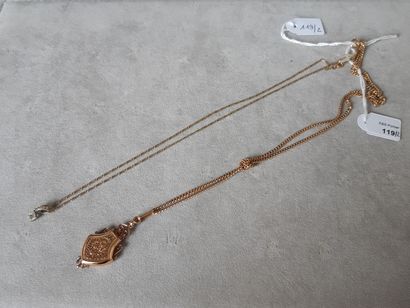 null Lot in gold 750 thousandths including: an articulated necklace supporting an...