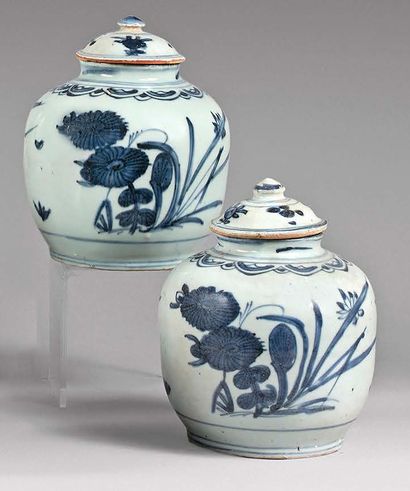 CHINE - XVIIe siècle 
Paire de pots ovoïdes couverts en porcelaine bleu blanc à décor...