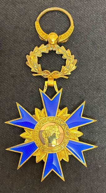 null Ordre national du Mérite, officer's star, luxury model in enamelled vermeil,...