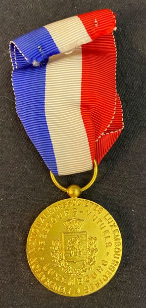 null Luxembourg - Medal of the Fédération nationale des associations de secours mutuels...