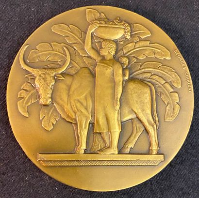 null Madagascar, médaille en bronze patiné par Georges Crouzat, poinçon Monnaie de...