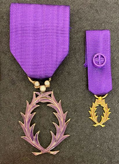 null Ordre des Palmes académiques, fondé en 1955, lot de deux bijoux : un de chevalier,...