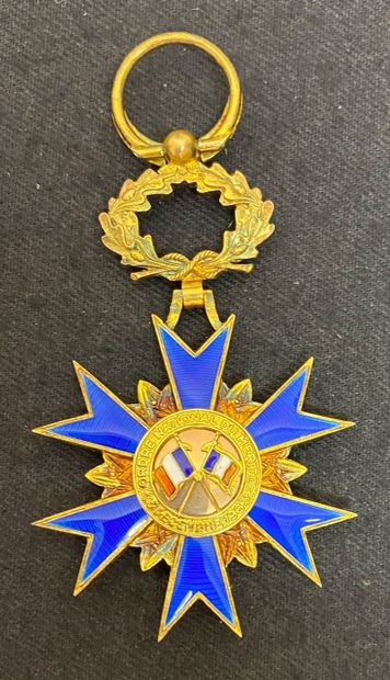 null Ordre national du Mérite, officer's star, luxury model in enamelled vermeil,...