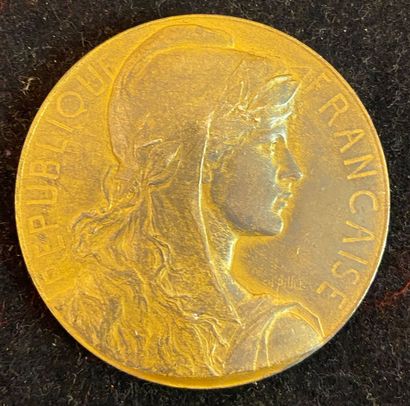 null France - Sénat, médaille d'identité, type de 1924 par Charles Pillet en vermeil,...