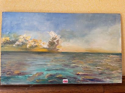 null Lot comprenant : «Coucher de soleil sur la mer», huile sur toile.
Pareglio :...