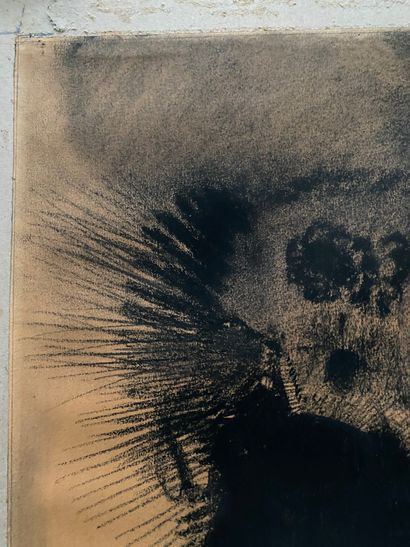 Odilon REDON (1840-1916) 
Cellular face
Charcoal and stump drawing signed with initials...