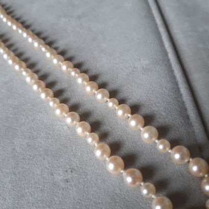 null Necklace of cultured pearls choker.
Length: 67 cm approximately (Wear).