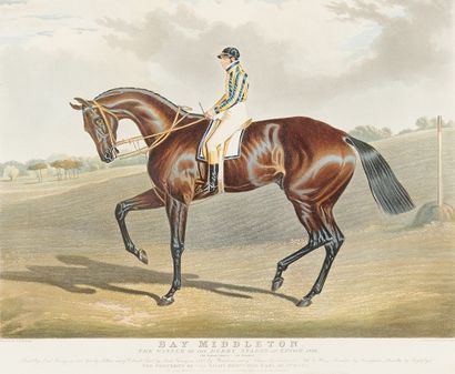 D'après HERRING, gravées par HUNT Coronation, vainqueur du Derby d'Epsom, 1841 -...