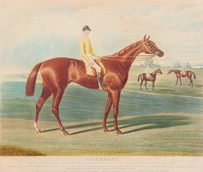 null Thormanby, winner of the Epsom Derby, 1860 - Teddington, winner of the Epsom...