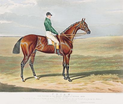 D'après HERRING, gravées par REEVE et HUNT Priam, Winner of the Epsom Derby, 1830
Bloomsbury,...