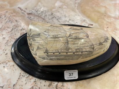 null 
Scrimshaw sperm whale tooth engraved with an American two-masted ship under...