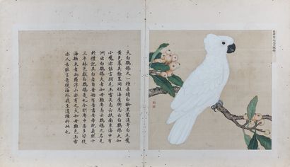 CHINE - Époque Kangxi (1662-1722) - Jiang Tingxi (1669-1732) Polychrome ink on silk...