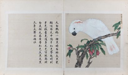 CHINE - Époque Kangxi (1662-1722) - Jiang Tingxi (1669-1732) Encre polychrome sur...