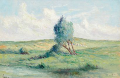 Maximilien Luce (1858-1941) Paysage de Bretagne
Huile sur papier marouflé sur toile,...