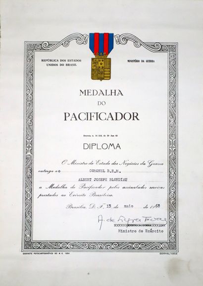 null Brésil - Médaille du Pacificateur en bronze patiné, avec ruban, barrette Dixmude,...