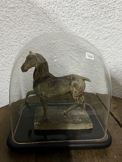 null Globe en verre et un cheval décoratif en plâtre (accidents et manques).