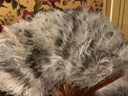 null Ostrich feather fan, decorated with a crown.

SALE WITHOUT CATALOG. FOR SALE...