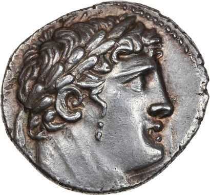 null PHÉNICIE, Tyr (Ier siècle av. J.-C.)
Shekel. 14,38 g.
Tête laurée de Melkarth...