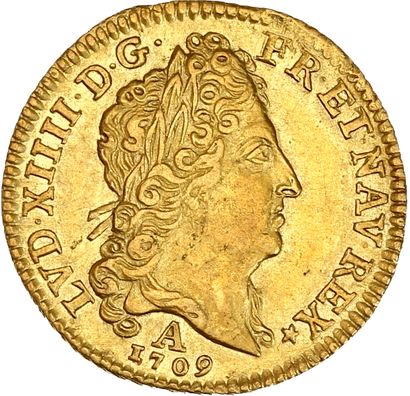 null LOUIS XIV (1643-1715)
Demi louis d'or au soleil. 1709. Paris. 4,09 g.
Tête du...