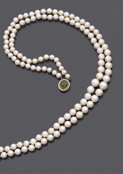 null Necklace two rows of eighty-one and eighty-five pearls of culture in fall, the...