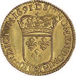 null LOUIS XIV (1643-1715)
Demi louis d'or à l'écu. 1691. Lyon. Réf.
D. 1436A.
Brillant...