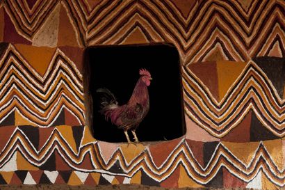 Hans SILVESTER 
HANS SILVESTER
UN COQ CHEZ LES "BENCH", ETHIOPIE 76 X 52 cm,

encadrement...