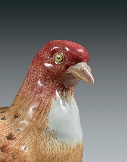 STRASBOURG Terrine couverte en forme de pigeon, le plumage à fond beige et marron,...