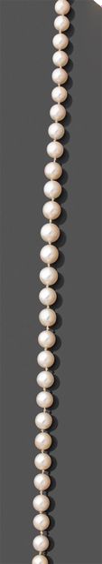 null Necklace of fifty-nine pearls of culture in fall, the clasp in white gold 750...