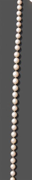 null Collier de cinquante-neuf perles de culture en chute, le fermoir en or gris...