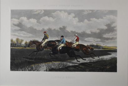 null After HERRING and Ch. HUNT & SONS - 

Racehorses : Flying a brook - Restive...
