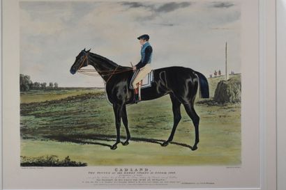 null D'après HERRING & REEVE - 

Chevaux et jockeys : Cadland Epsom 1828 - Orlando...