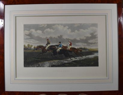 null After HERRING and Ch. HUNT & SONS - 

Racehorses : Flying a brook - Restive...