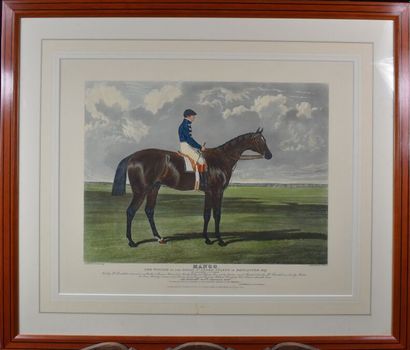 null D'après HERRING & REEVE - 

Chevaux et jockeys : Cadland Epsom 1828 - Orlando...