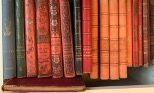 null Ensemble de volumes et livres illustrés d'éditeur du XIXème siècle sur différents...