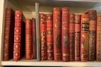 null Ensemble de volumes et livres illustrés d'éditeur du XIXème siècle : 

IVOI (Paul...