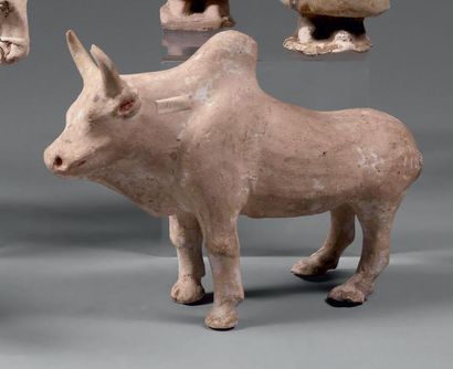 Époque TANG (618-907) Statuette de buffle debout en terre cuite. (Accidents et restaurations)....
