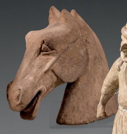 Époque TANG (618-907) Importante tête de cheval en terre cuite beige. Longueur: 26...