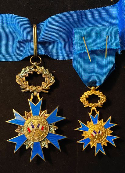null Ordre national du Mérite, fondé en 1963, lot de deux : un bijou de commandeur...