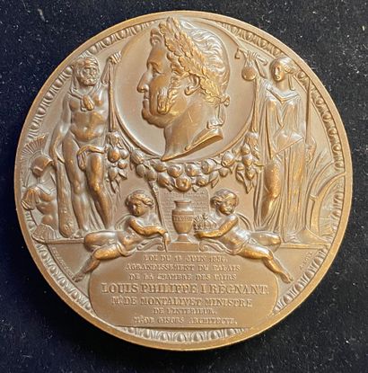 null Chambre des Pairs, 1836, médaille en cuivre patiné par Klagmann et Bovy commémorant...